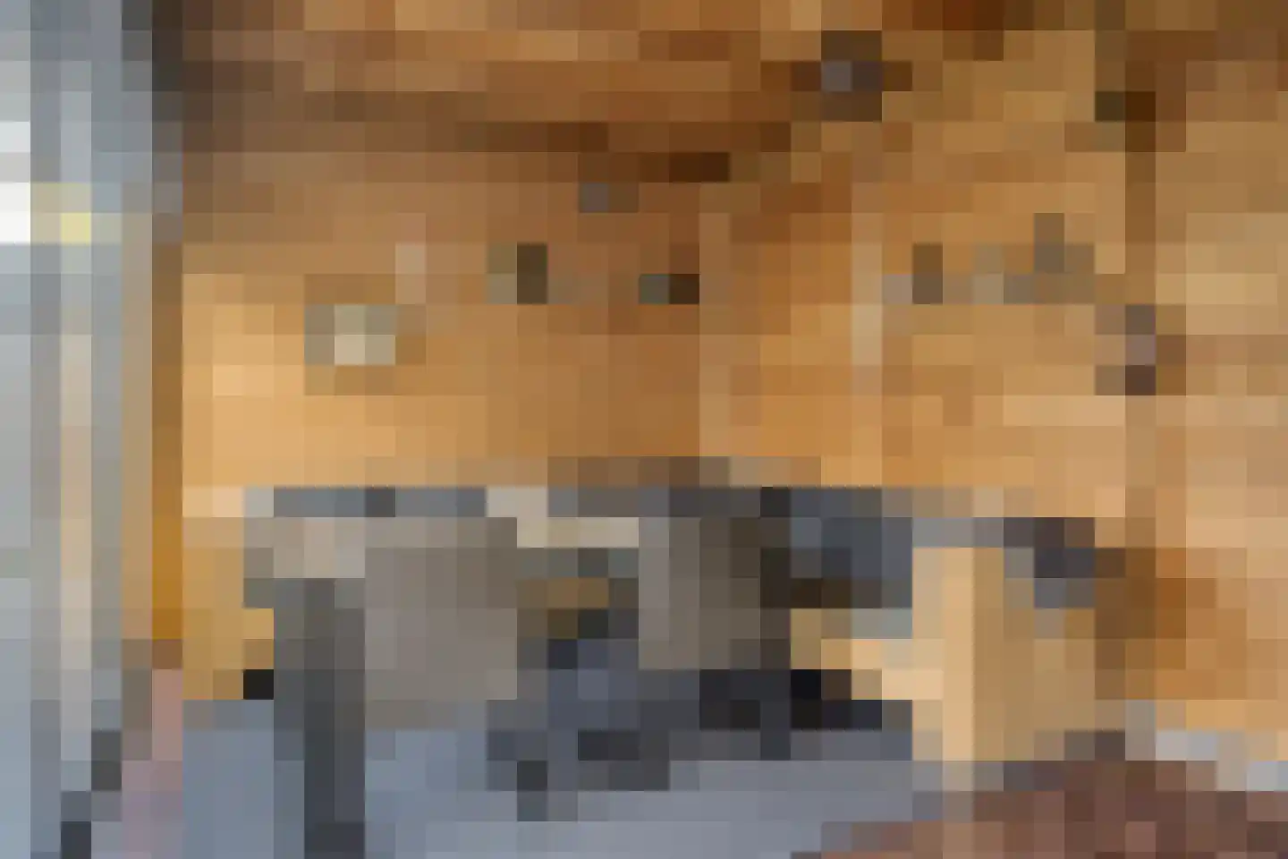 de korte Spruit 1 Oirschot thumbnail 37