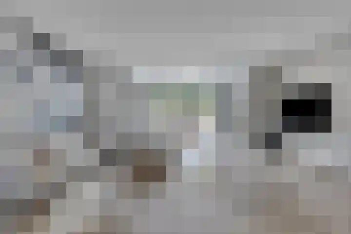 de korte Spruit 3 Oirschot thumbnail 14