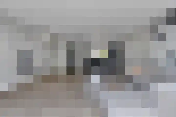 de korte Spruit 3 Oirschot thumbnail 15
