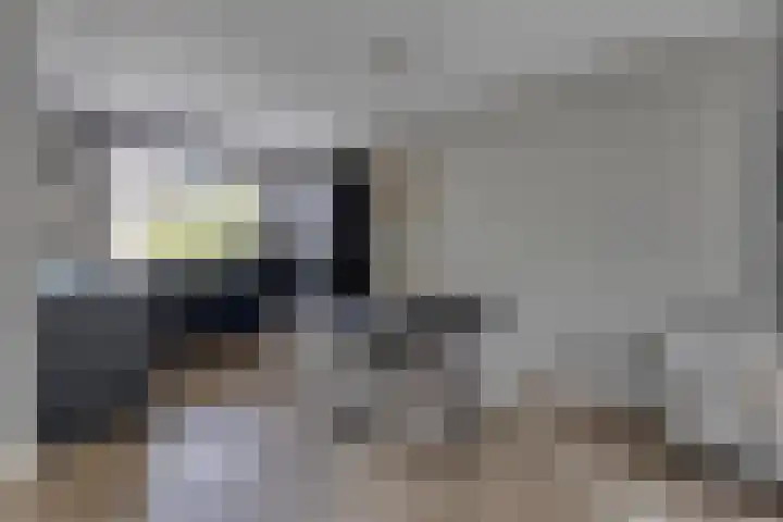 de korte Spruit 3 Oirschot thumbnail 16