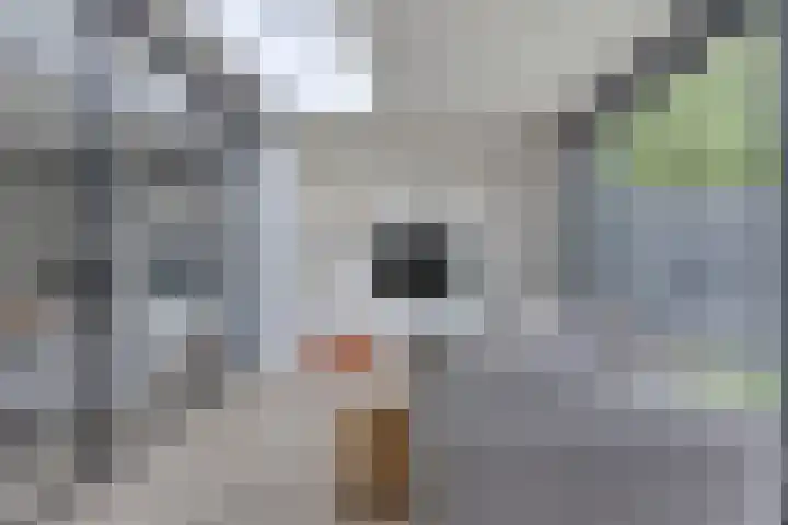 de korte Spruit 3 Oirschot thumbnail 17