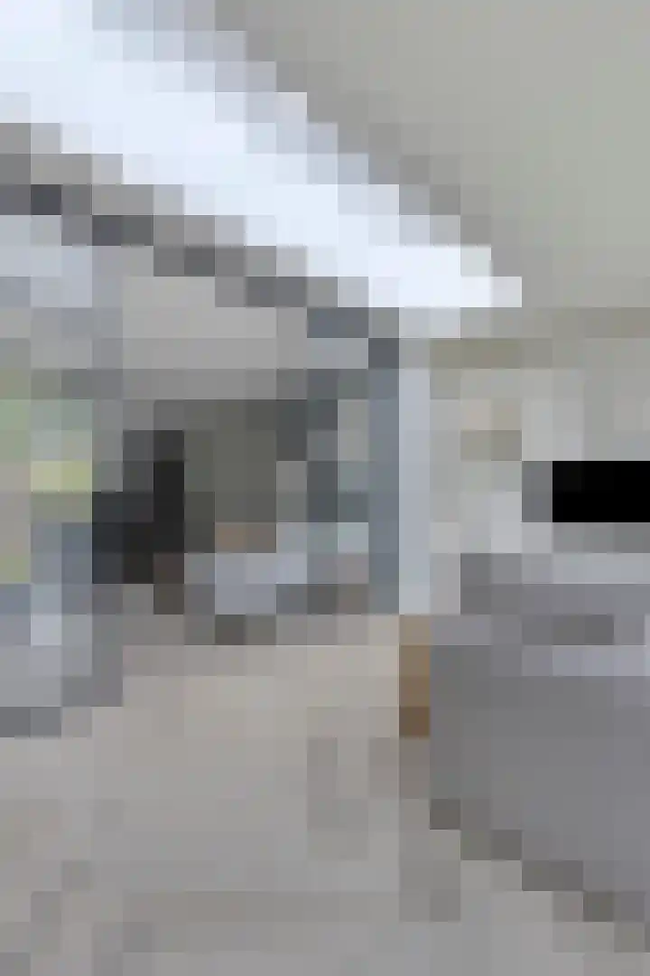 de korte Spruit 3 Oirschot thumbnail 18