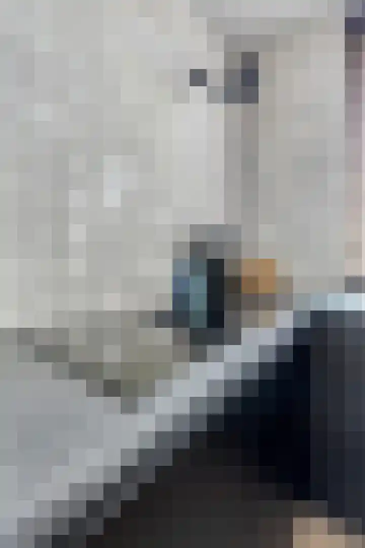 de korte Spruit 3 Oirschot thumbnail 20