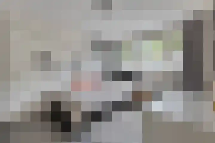 de korte Spruit 3 Oirschot thumbnail 23