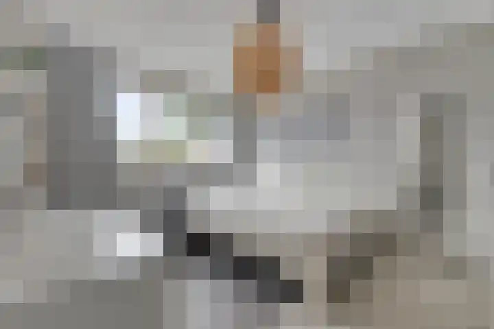de korte Spruit 3 Oirschot thumbnail 24