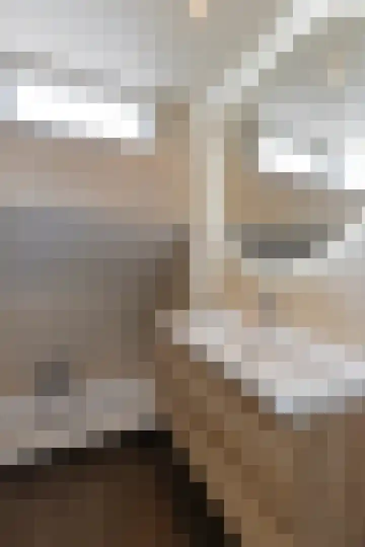 de korte Spruit 3 Oirschot thumbnail 28