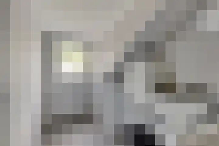 de korte Spruit 3 Oirschot thumbnail 30
