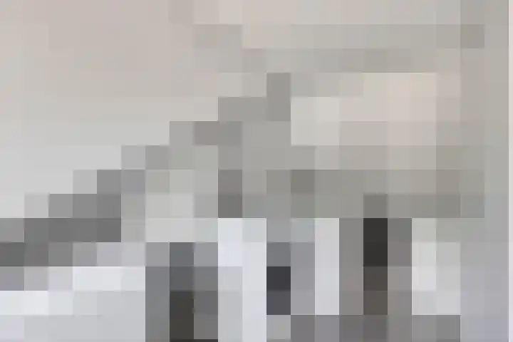 de korte Spruit 3 Oirschot thumbnail 31