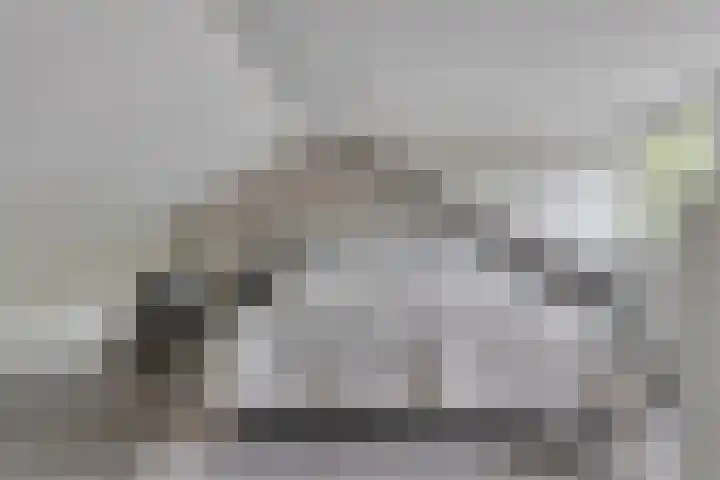 de korte Spruit 3 Oirschot thumbnail 32
