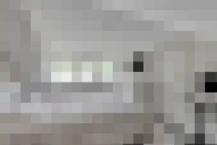 de korte Spruit 3 Oirschot thumbnail 33