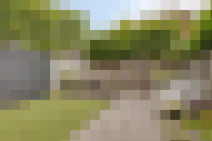 de korte Spruit 3 Oirschot thumbnail 34