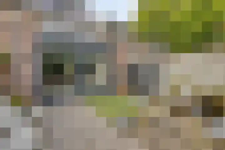 de korte Spruit 3 Oirschot thumbnail 36