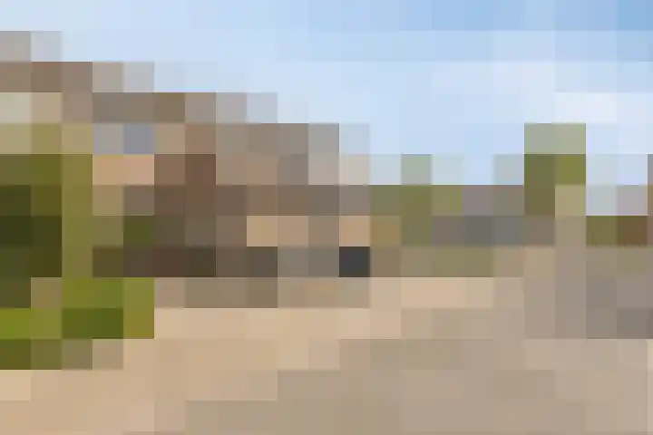 de korte Spruit 3 Oirschot thumbnail 38