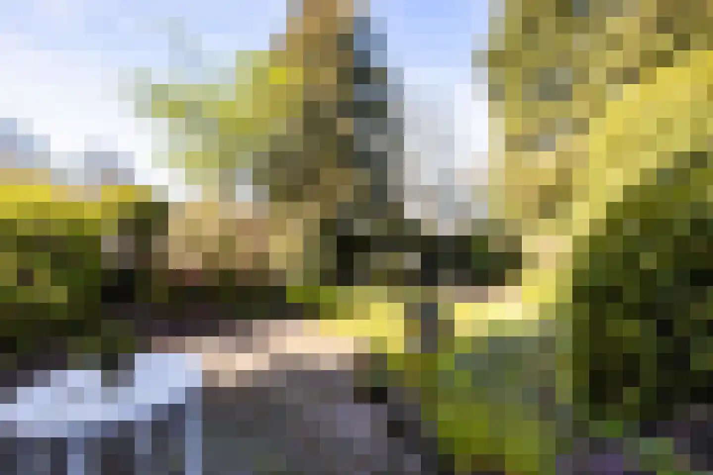 De Korte Wetering 3 Woudenberg thumbnail 38