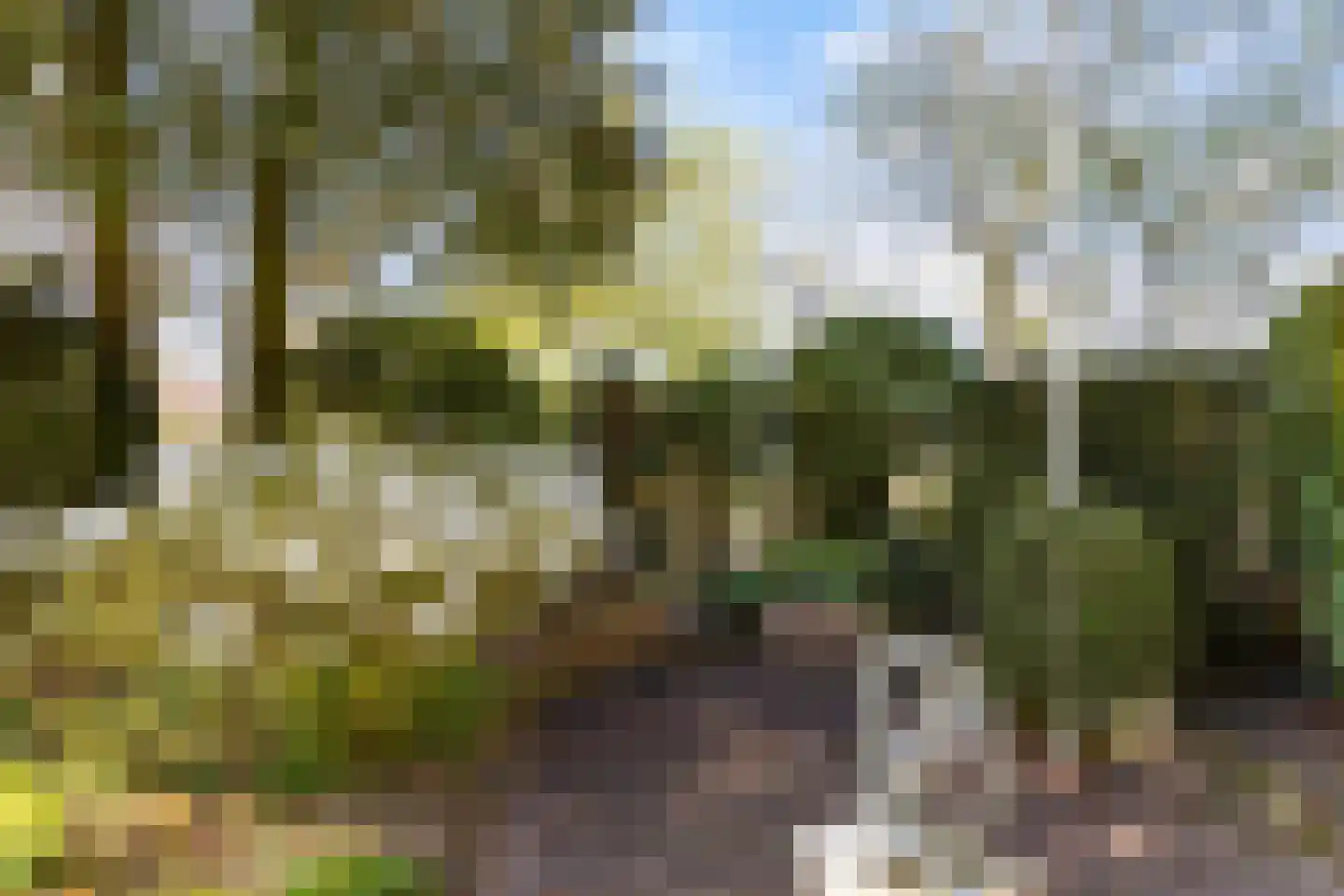 De Korte Wetering 3 Woudenberg thumbnail 41