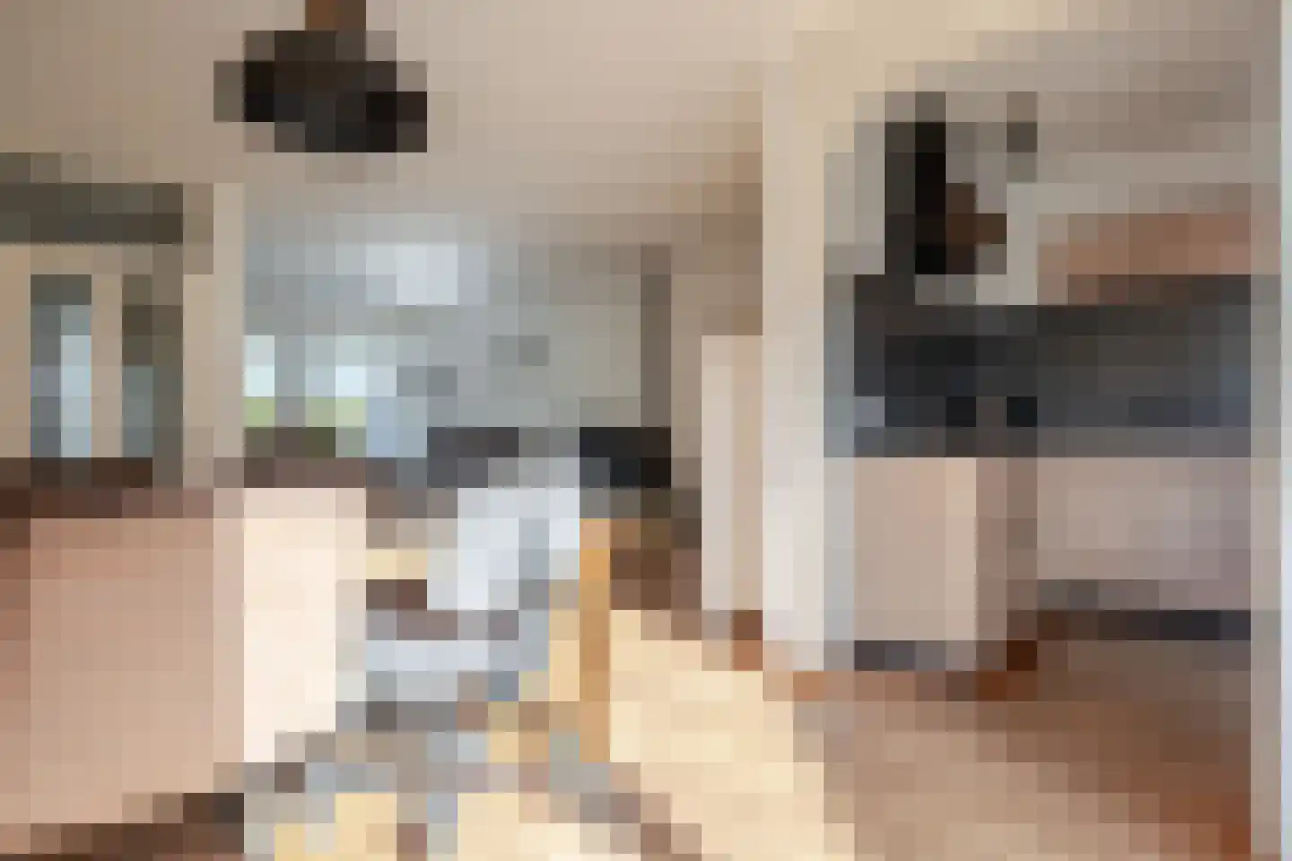 de Korten 11 Ossenzijl thumbnail 16