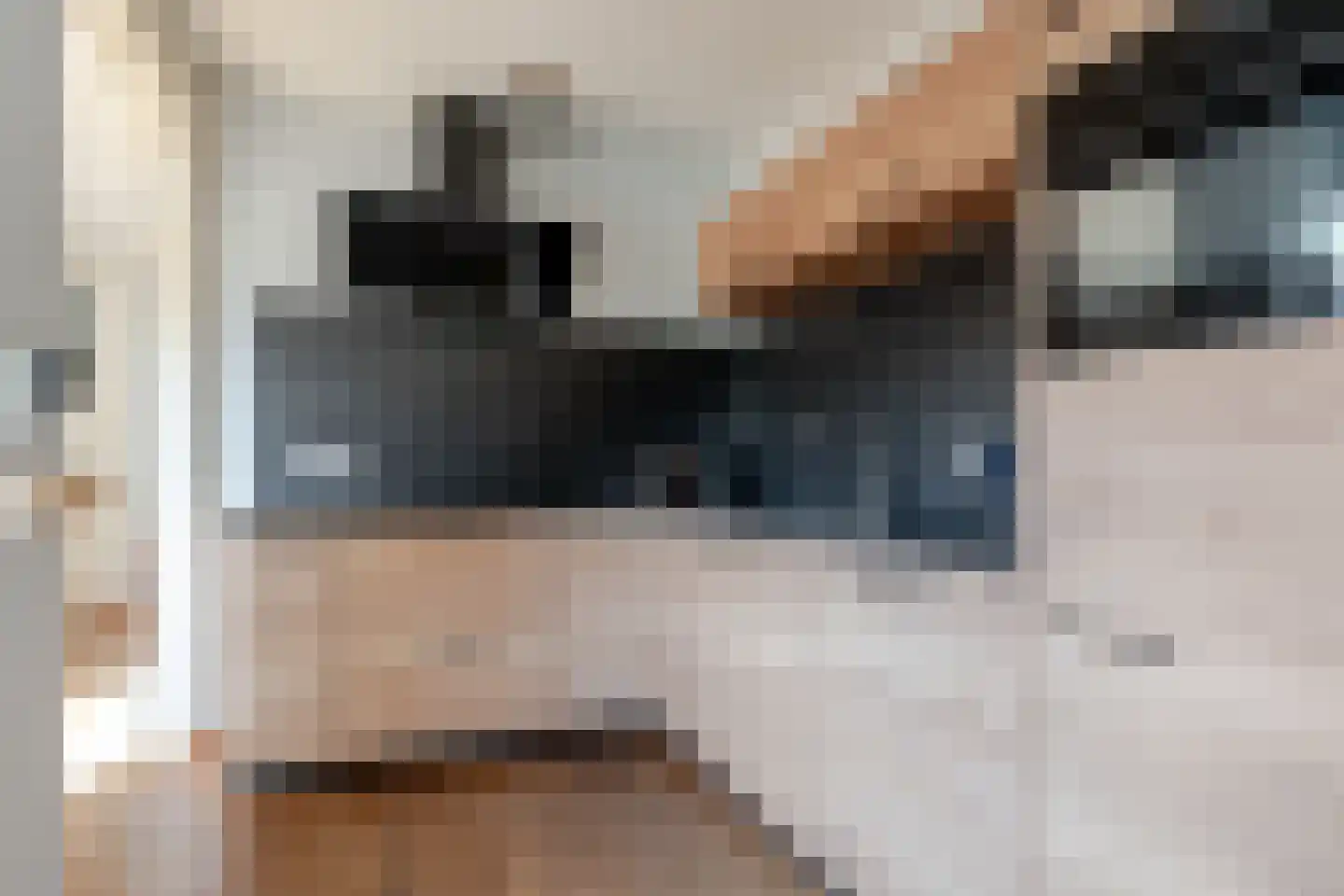 de Korten 11 Ossenzijl thumbnail 19