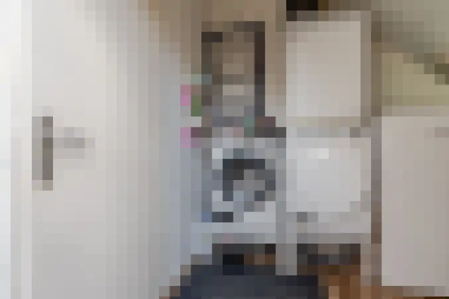 de Korten 11 Ossenzijl thumbnail 23