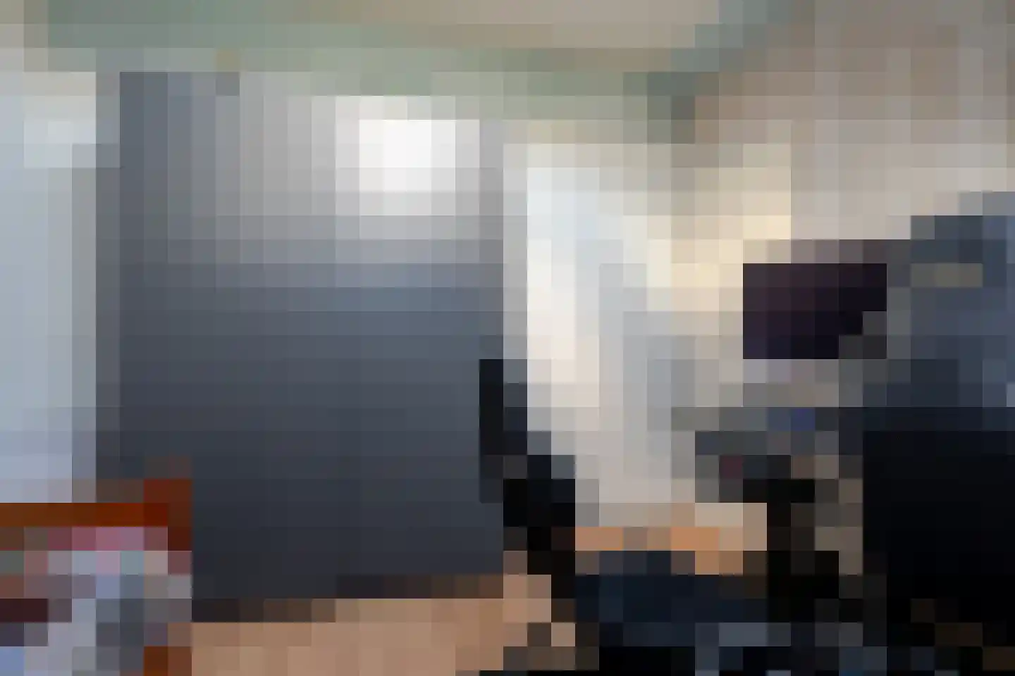 de Korten 11 Ossenzijl thumbnail 32
