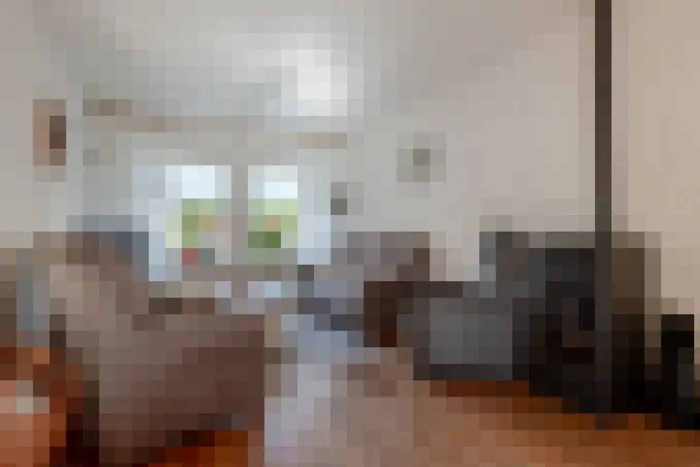 de Korten 11 Ossenzijl thumbnail 4