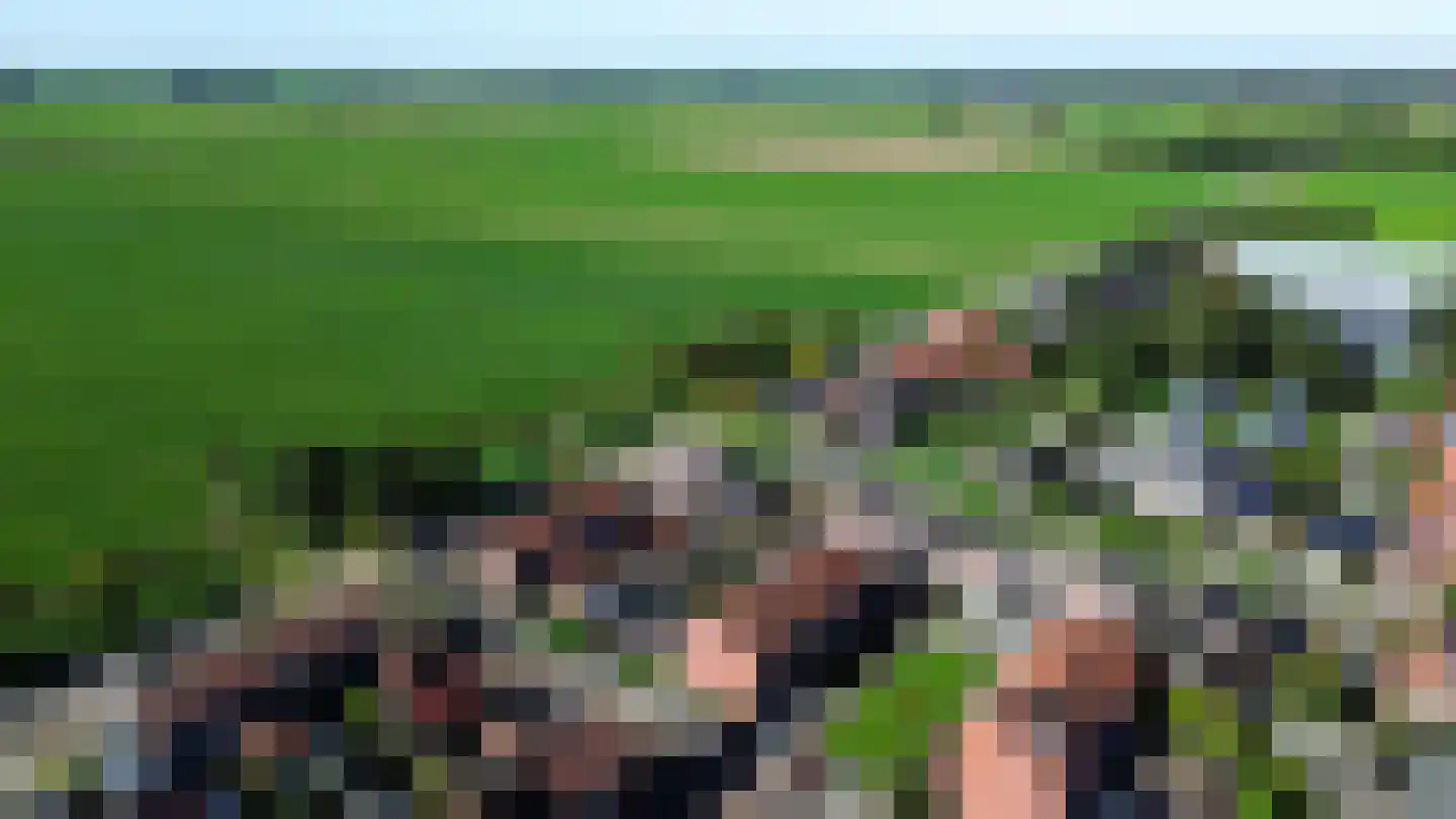 de Korten 11 Ossenzijl thumbnail 40