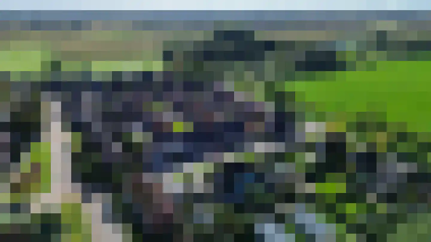 de Korten 11 Ossenzijl thumbnail 42