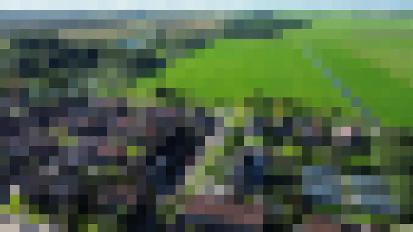 de Korten 11 Ossenzijl thumbnail 43
