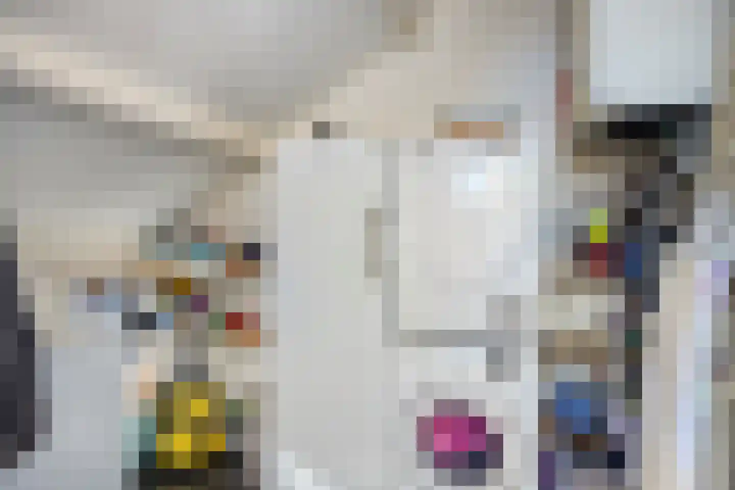 de Korten 13 Ossenzijl thumbnail 11