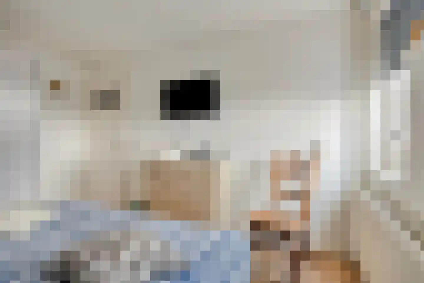 de Korten 13 Ossenzijl thumbnail 15