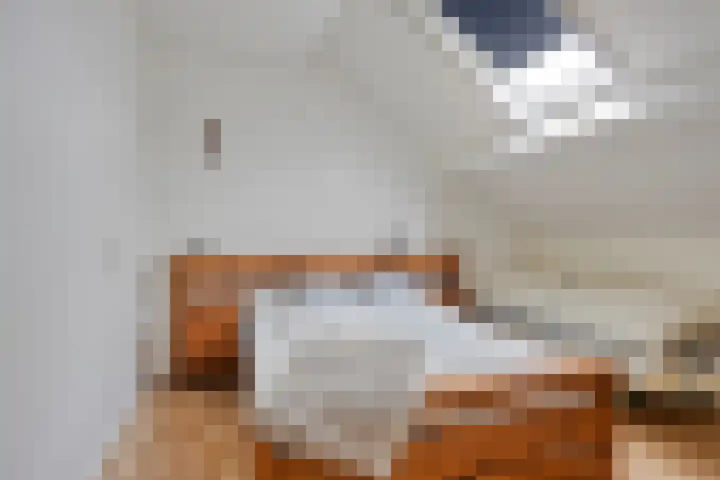 de Korten 13 Ossenzijl thumbnail 16