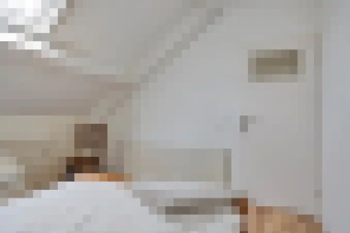 de Korten 13 Ossenzijl thumbnail 17