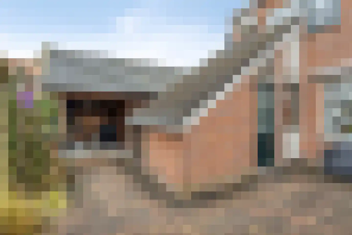 de Korten 13 Ossenzijl thumbnail 23