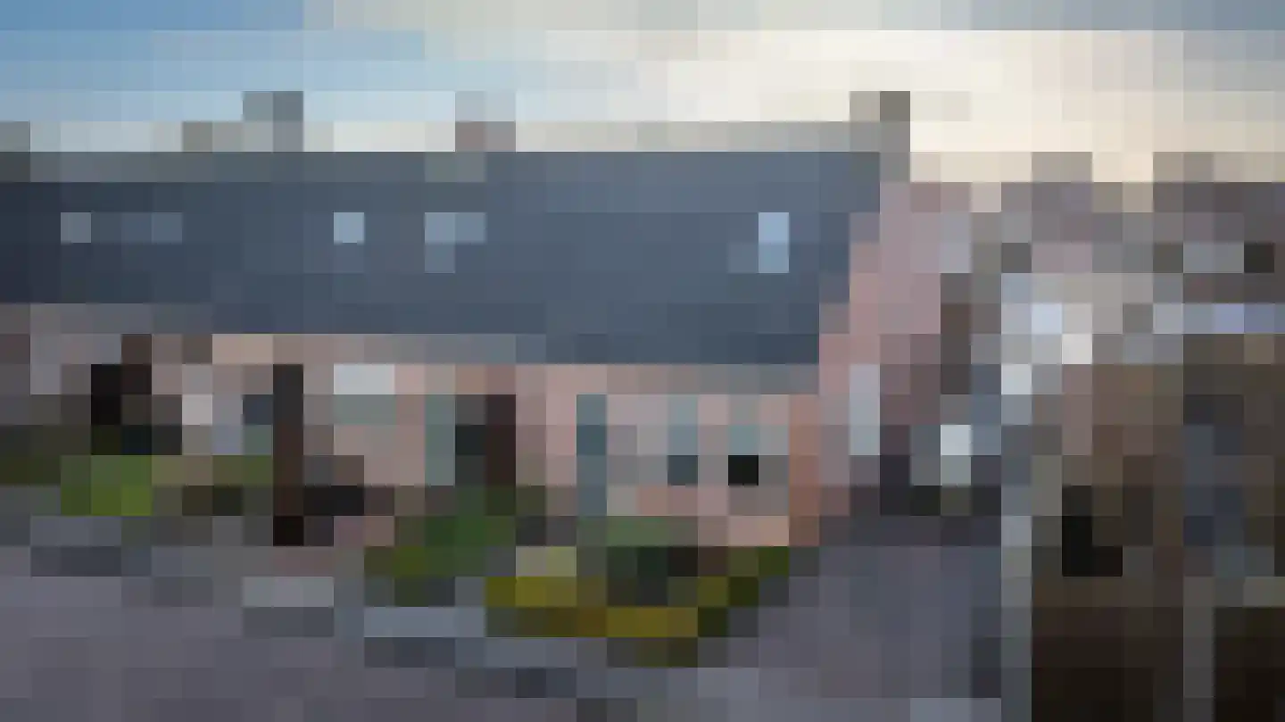 de Korten 13 Ossenzijl thumbnail 27