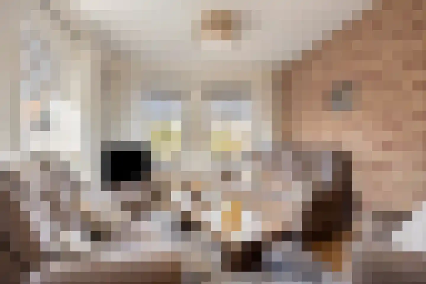 de Korten 13 Ossenzijl foto 3