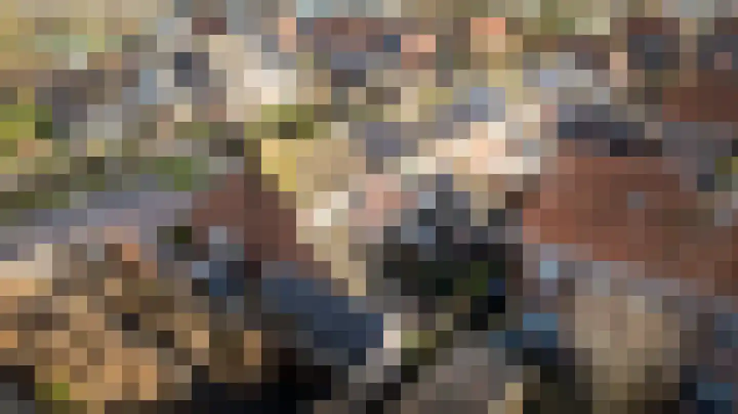 de Korten 13 Ossenzijl thumbnail 31