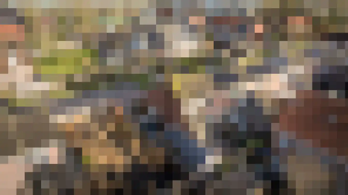de Korten 13 Ossenzijl thumbnail 32
