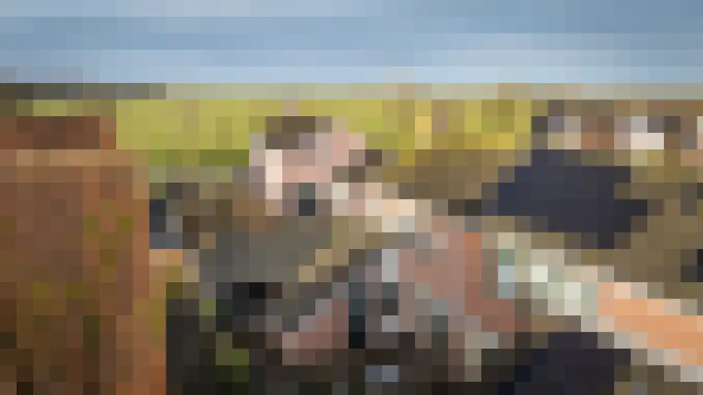 de Korten 13 Ossenzijl thumbnail 35