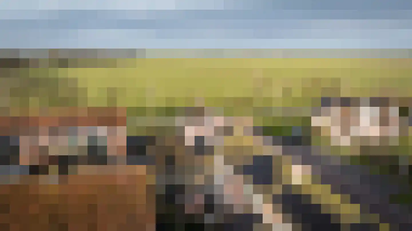de Korten 13 Ossenzijl thumbnail 36