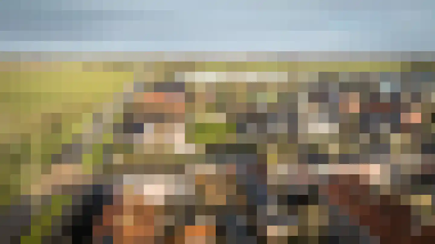 de Korten 13 Ossenzijl thumbnail 37