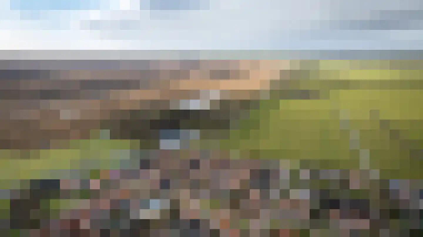de Korten 13 Ossenzijl thumbnail 41