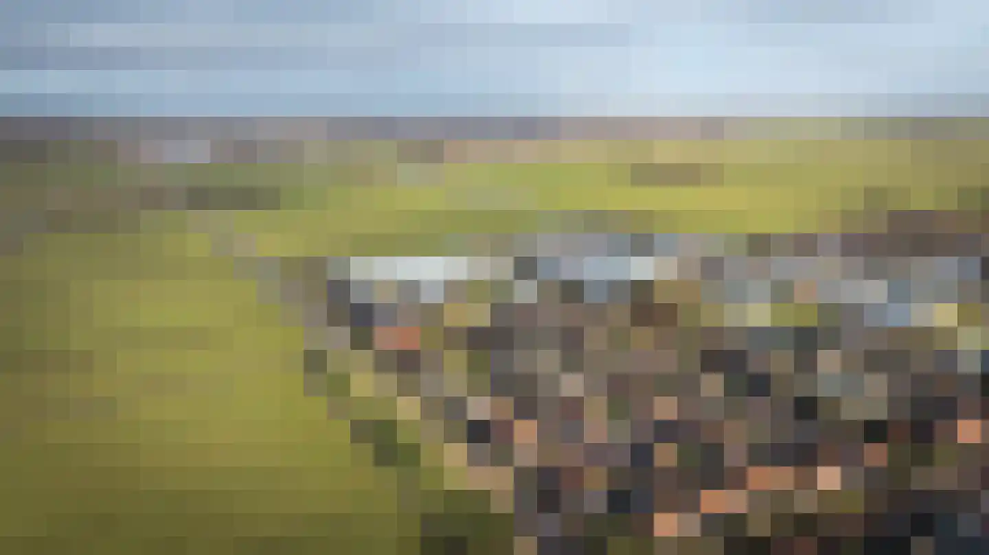 de Korten 13 Ossenzijl thumbnail 42