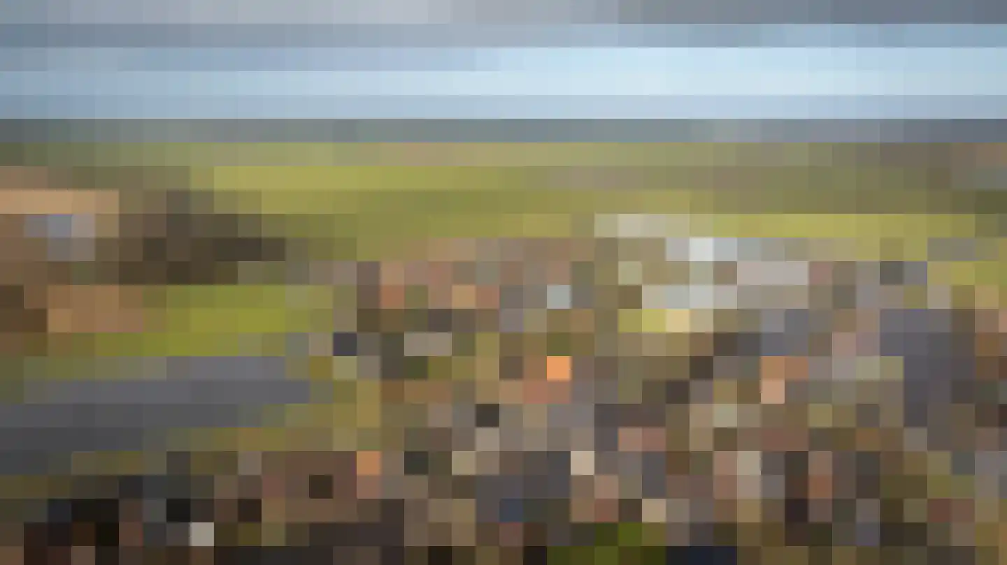 de Korten 13 Ossenzijl thumbnail 43