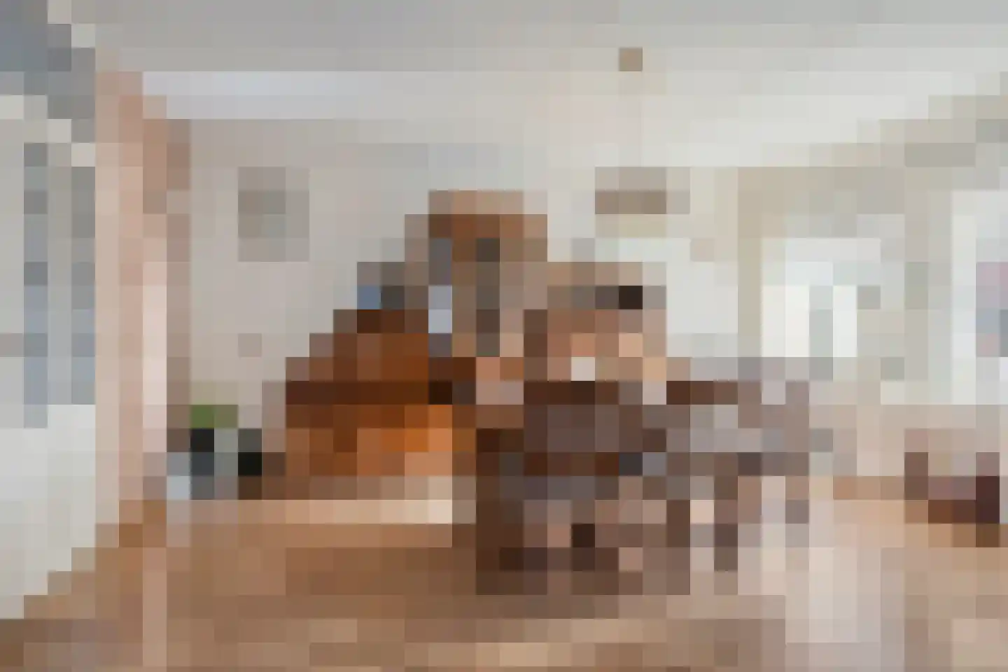 de Korten 13 Ossenzijl thumbnail 5