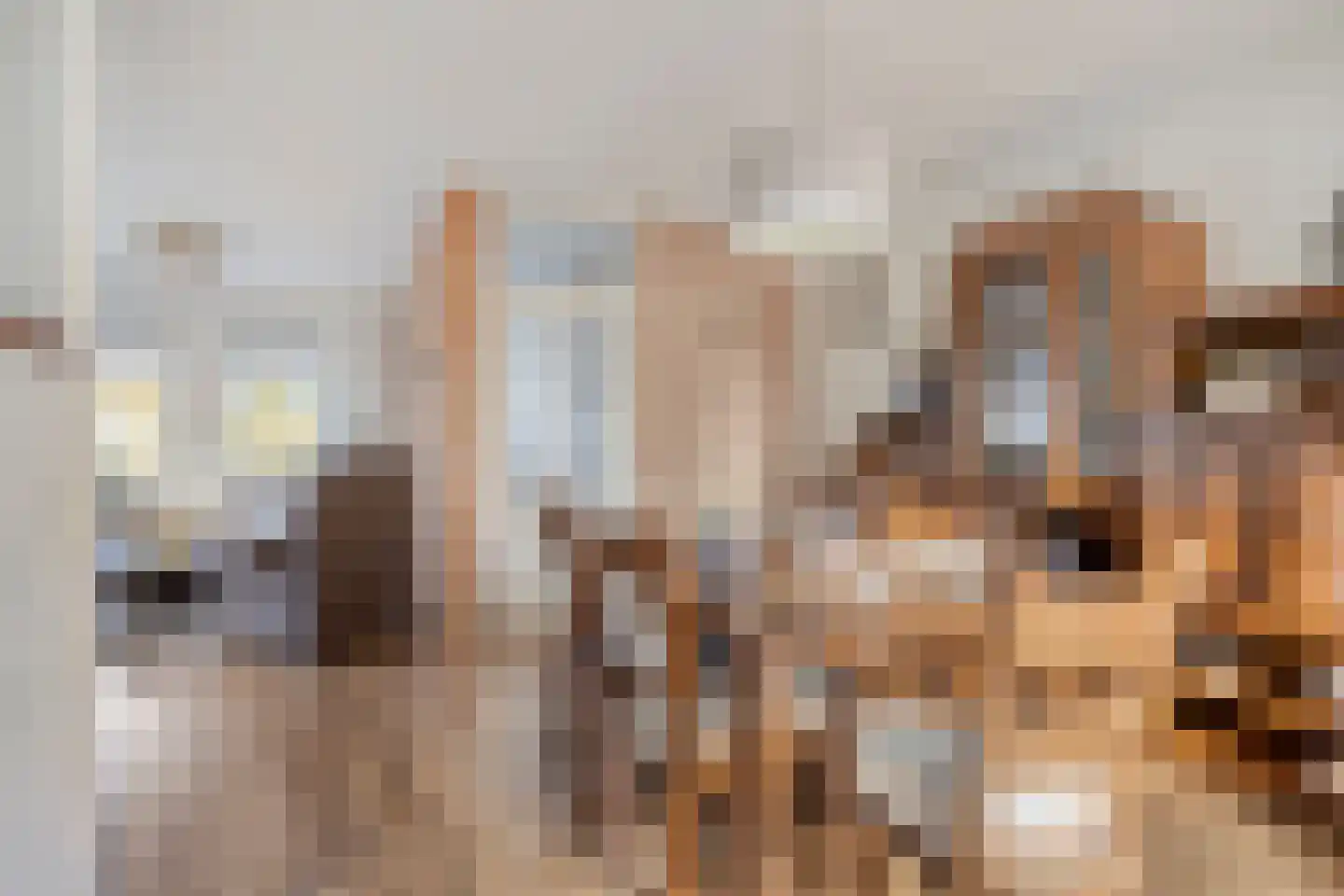 de Korten 13 Ossenzijl thumbnail 8