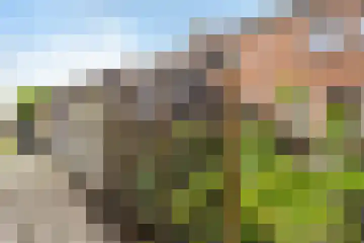 de Korten 3 Ossenzijl thumbnail 28
