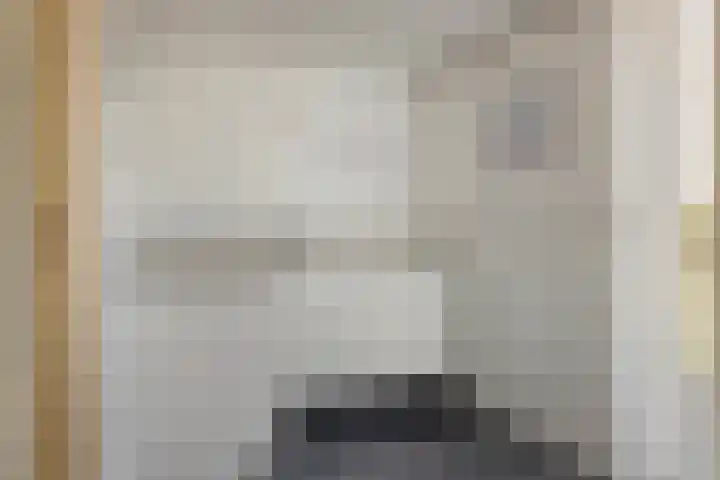 de Korten 4 Ossenzijl thumbnail 12