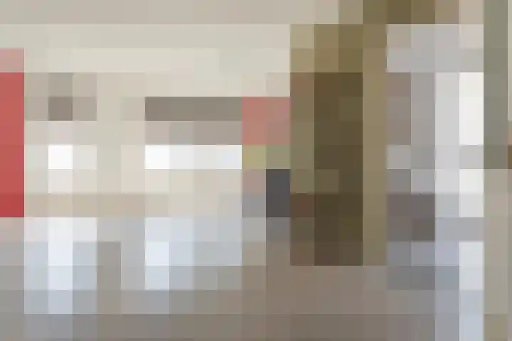 de Korten 4 Ossenzijl thumbnail 15