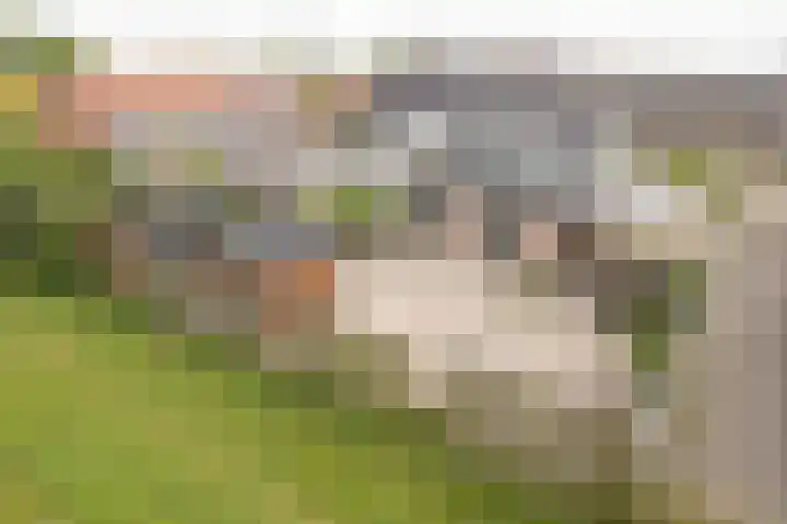 de Korten 4 Ossenzijl foto 2