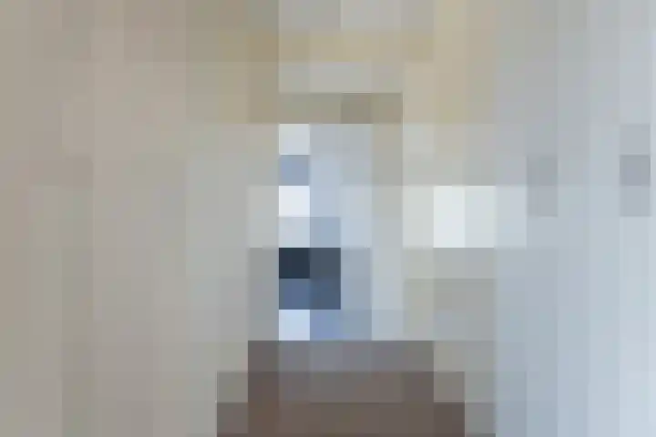 de Korten 4 Ossenzijl thumbnail 21