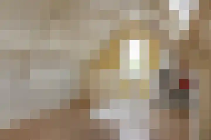 de Korten 4 Ossenzijl thumbnail 28